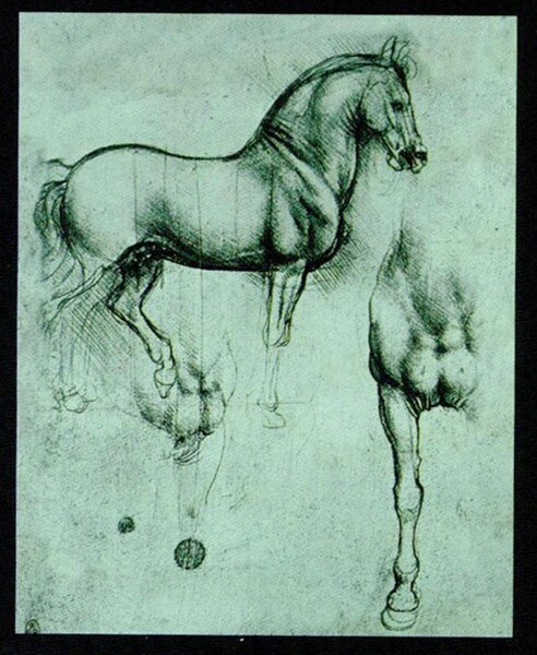 Drawing Study Sculptural Horse Leonardo da Vinci School Statues Cast